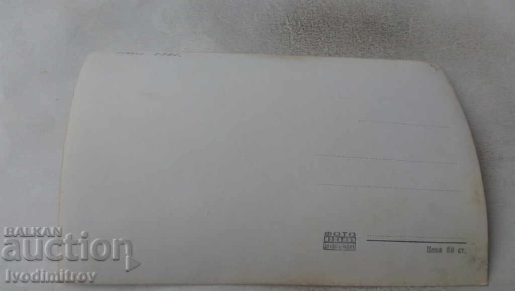 Postcard Millennium Tree Cave 1961 with price 1.85 BGN | € 0.95 Postcard Millennium Tree Cave 1961 with price 1.85 BGN | € 0.95