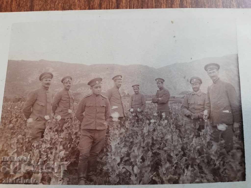 Old photo - On tobacco. Demir Kapija Macedonia PSV with price 30.00 BGN | € 15.34 Old photo - On tobacco. Demir Kapija Macedonia PSV with price 30.00 BGN | € 15.34