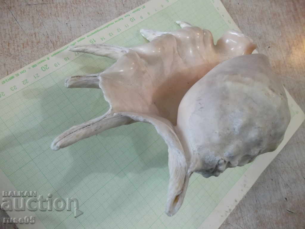 Sink - 23 with price 35.00 BGN | € 17.90