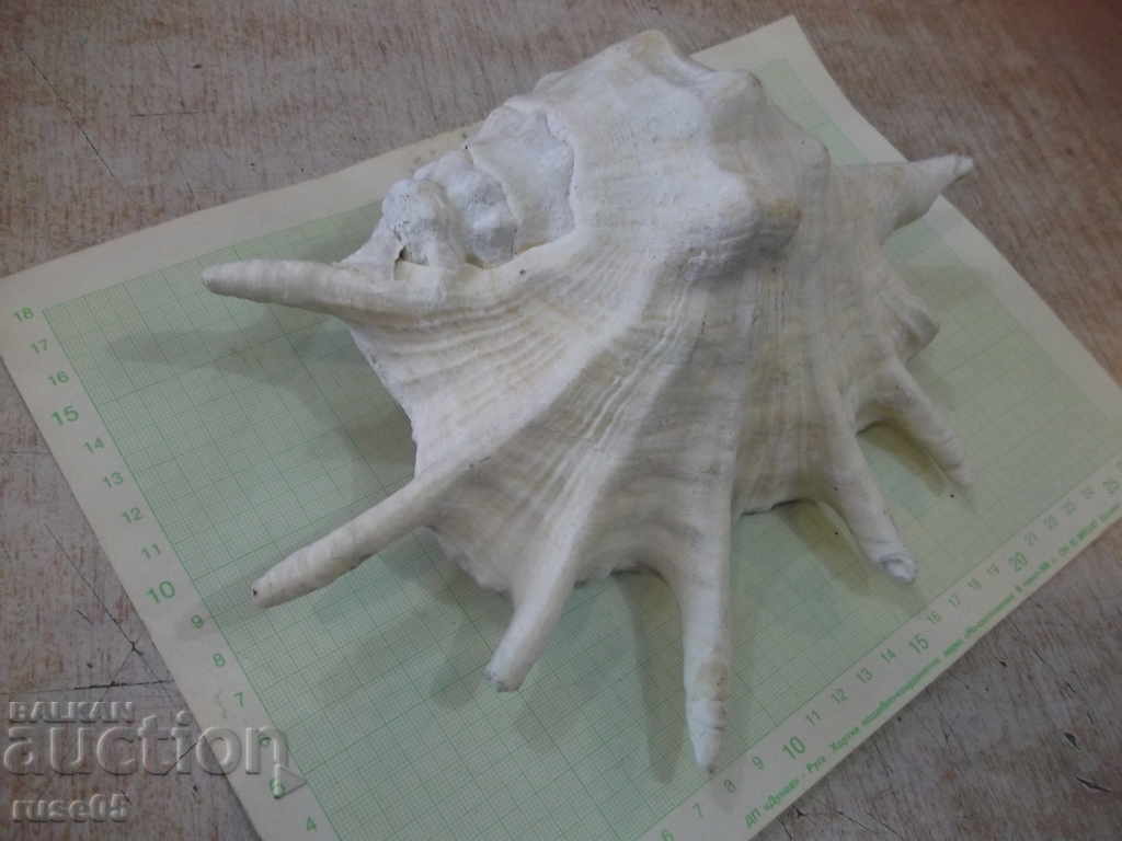 Delivery of Sink - 23