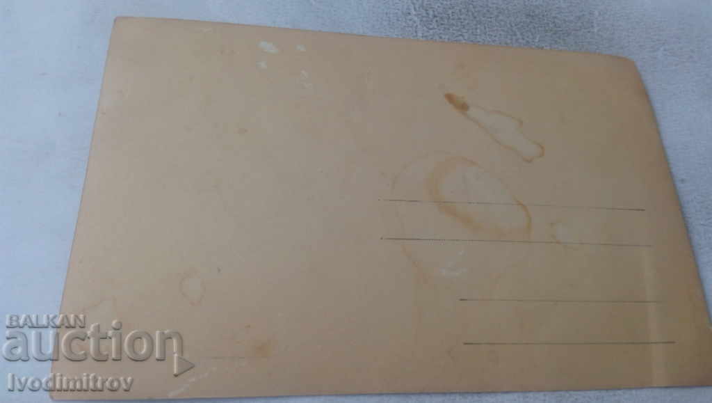 Photo Men and women under the tree with price 1.65 BGN | € 0.84 Photo Men and women under the tree with price 1.65 BGN | € 0.84