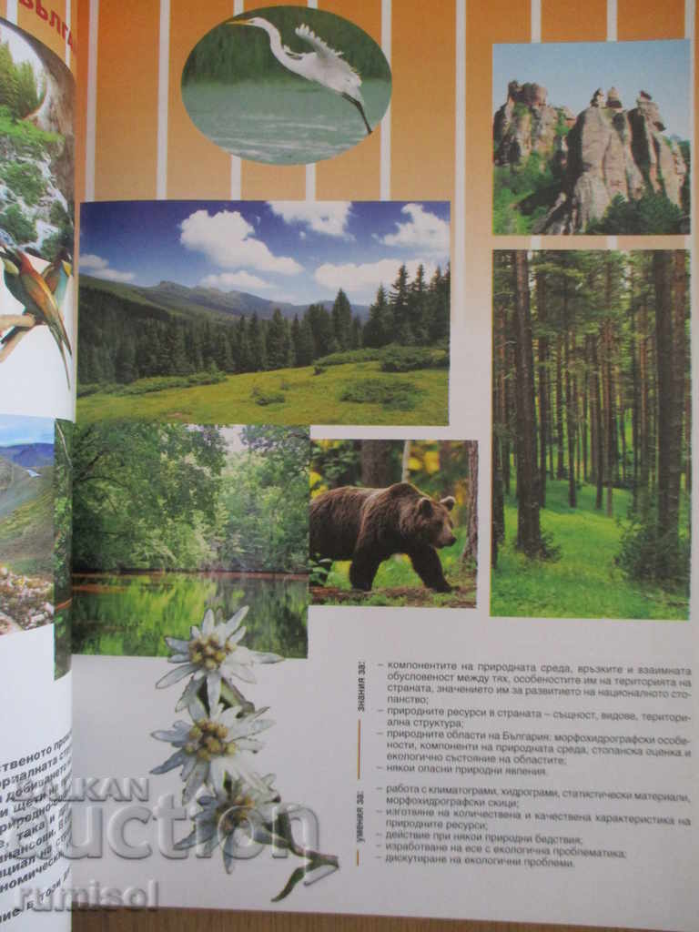 Auction Geography and Economics - Grade 10 - Education Auction Geography and Economics - Grade 10 - Education