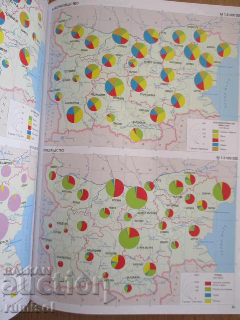 Delivery of Atlas of Geography and Economics - Grade 10 - Dominoes