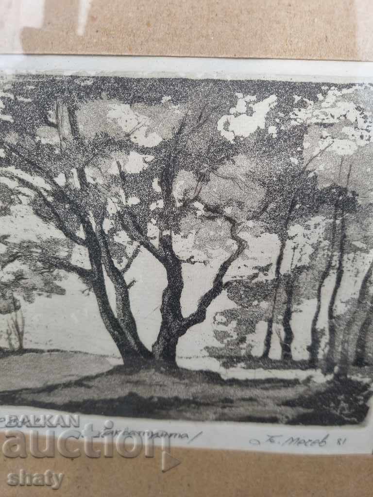 Author's picture with price 70.00 BGN | € 35.79 Author's picture with price 70.00 BGN | € 35.79