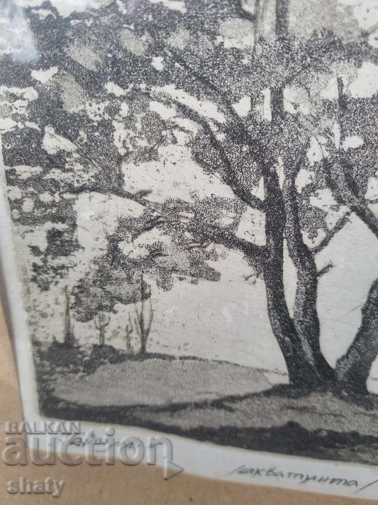 Delivery of Author's picture Delivery of Author's picture