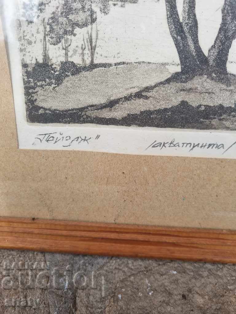 Author's picture - 5 Author's picture - 5