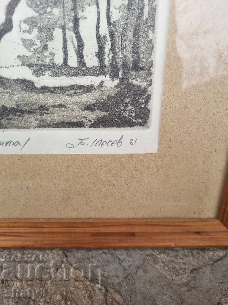 Author's picture - 6 Author's picture - 6