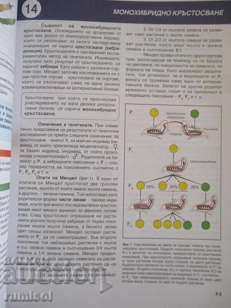 Delivery of Biology and Health Education - Grade 10 - Anubis Delivery of Biology and Health Education - Grade 10 - Anubis