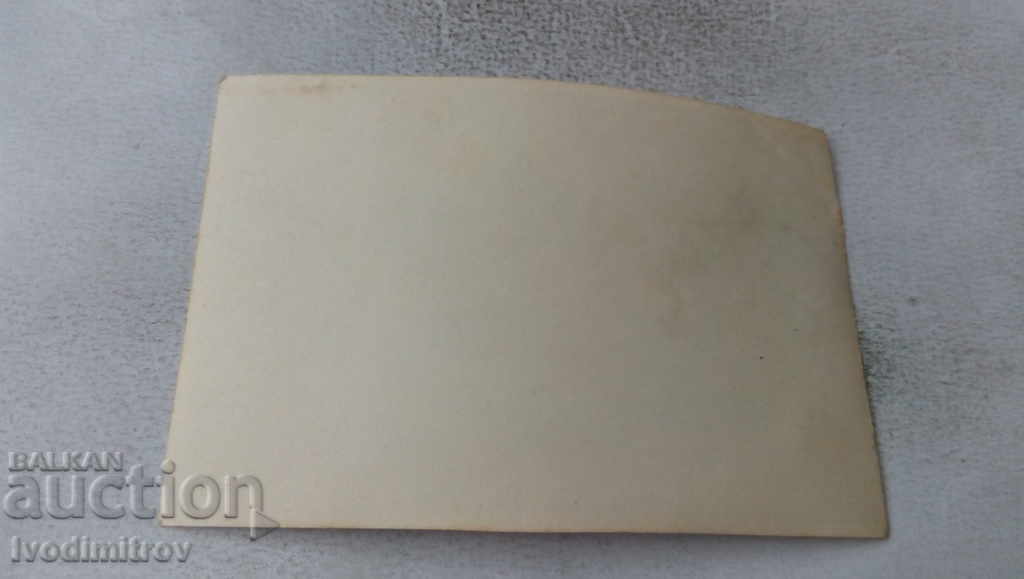 Photo Young people on benches in the park with price 1.65 BGN | € 0.84 Photo Young people on benches in the park with price 1.65 BGN | € 0.84