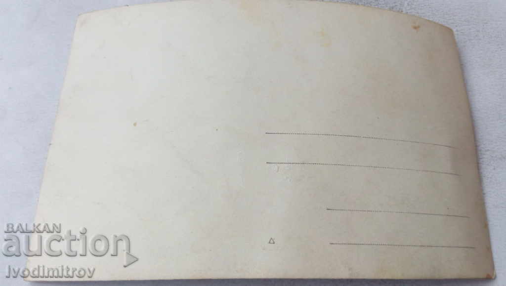 Photo Men women and children on the lawn with price 1.45 BGN | € 0.74 Photo Men women and children on the lawn with price 1.45 BGN | € 0.74