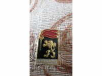 ЗНАЧКА- ЧАВДАРЧЕ