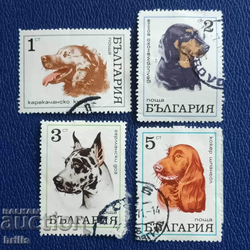 BULGARIA 1971 - FAUNA, BREEDS OF DOGS