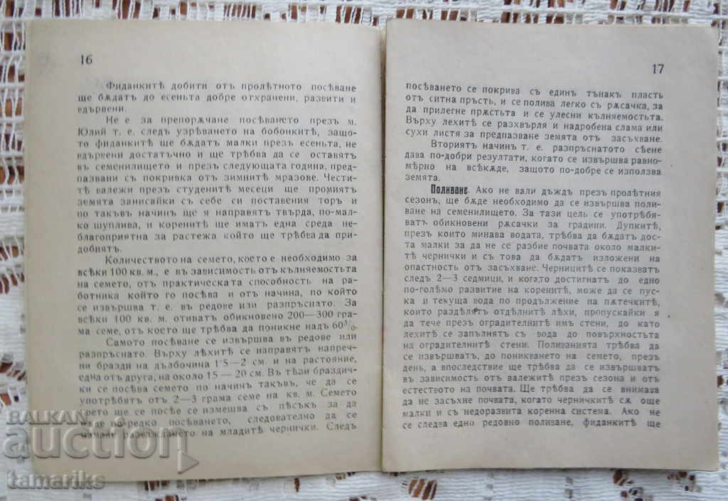 MODERN MONASTERY - DR HRISTO MANOV-PRACTICAL R-STVO with price 11.00 BGN | € 5.62