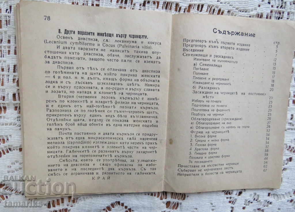 Auction  MODERN MONASTERY - DR HRISTO MANOV-PRACTICAL R-STVO