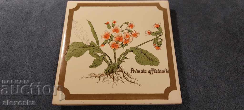 Auction Kitchen utensils - Japan Auction Kitchen utensils - Japan