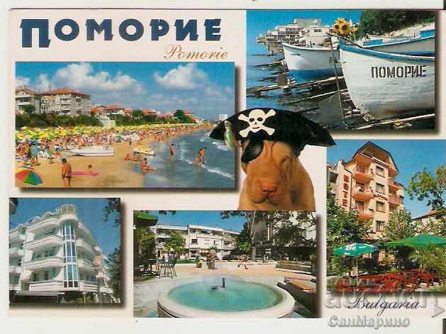 Postcard Bulgaria Pomorie 13 *