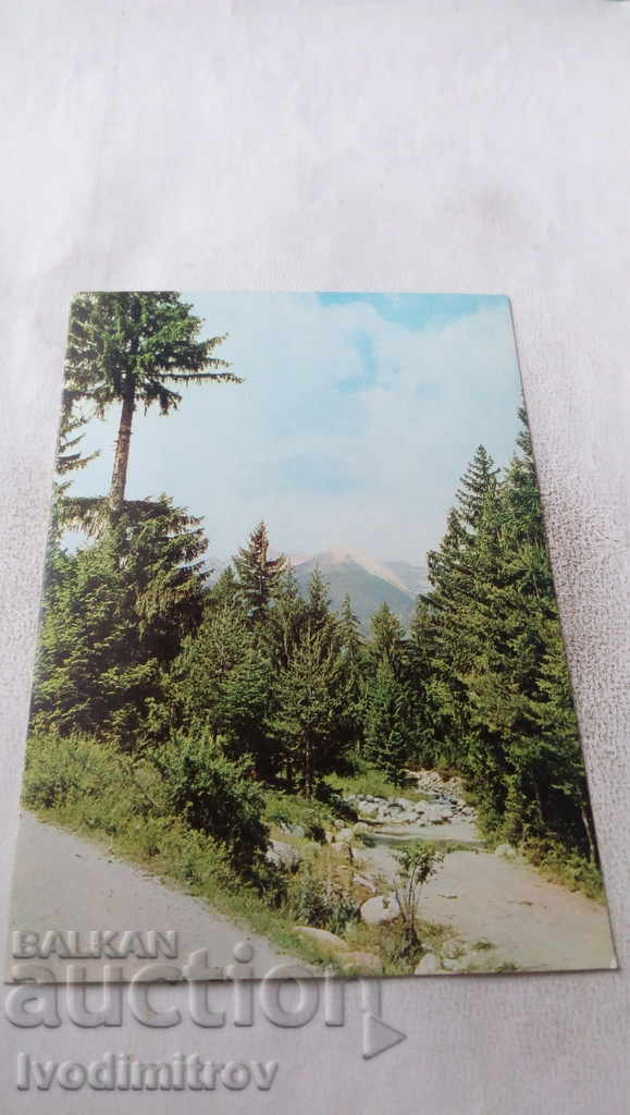 Postcard Pirin 1974