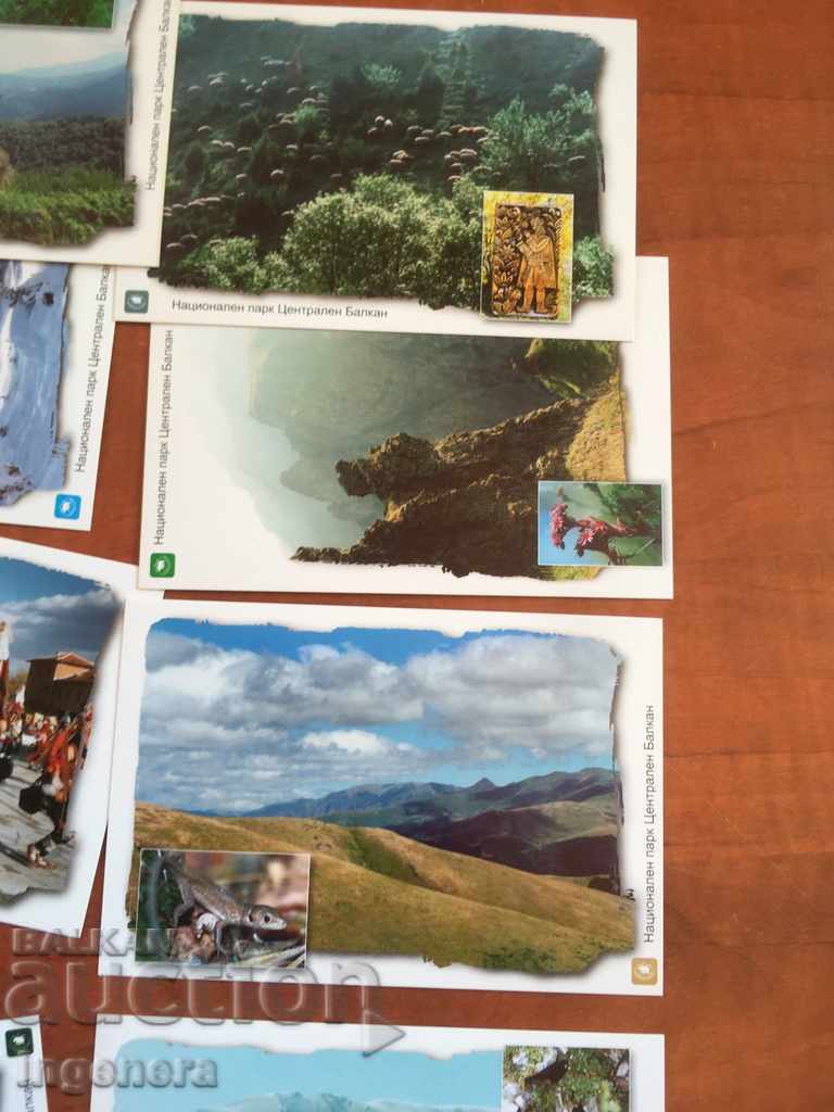 CARD CARDS SET-NATURE-CENTRAL BALKANS-12 PCS - 5