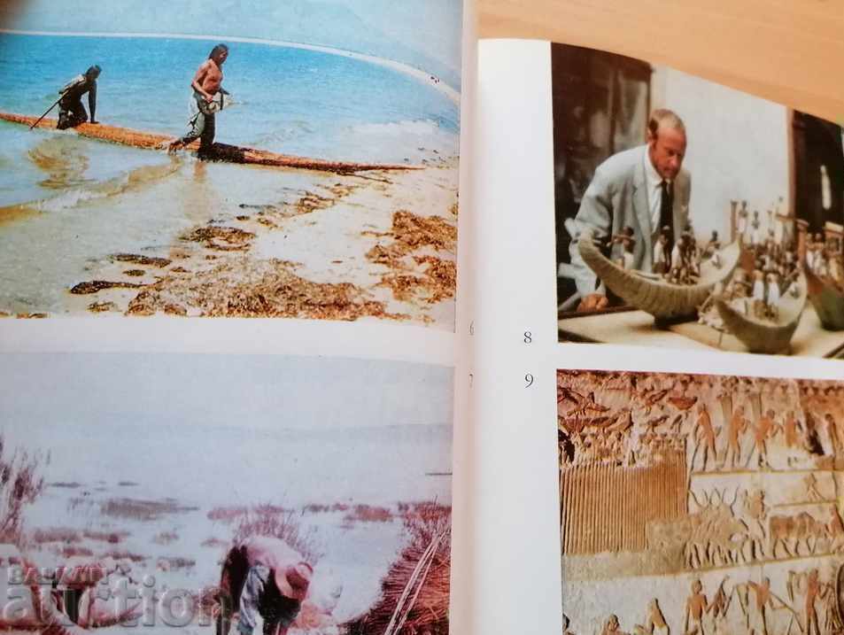 Clearing Book 7 - Turul Heyerdahl