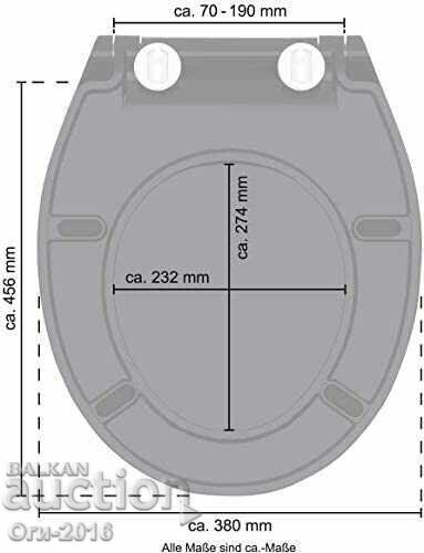 Auction  Thin toilet seat