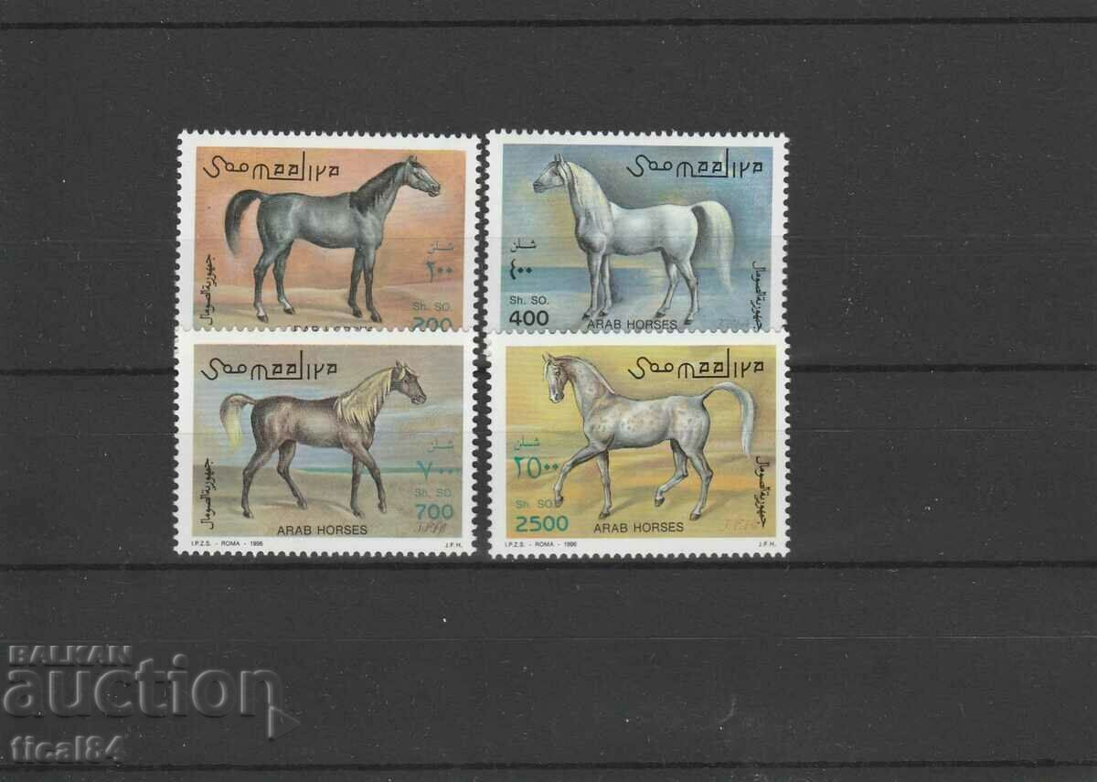 Somalia 1996 Arabian horses