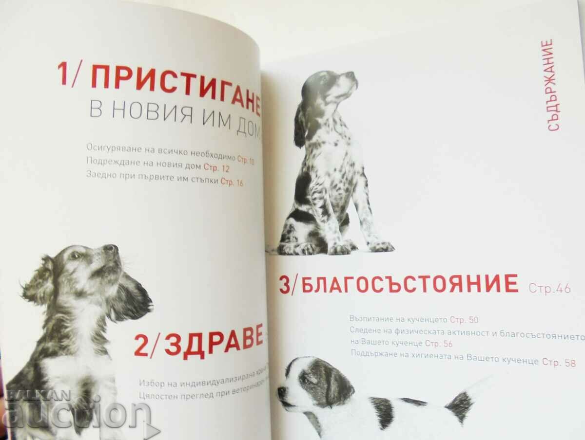 Cresterea catelusului 2019 cu preț 20.00 BGN | € 10.23 Cresterea catelusului 2019 cu preț 20.00 BGN | € 10.23