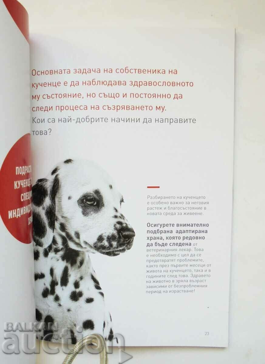 Licitație Cresterea catelusului 2019 Licitație Cresterea catelusului 2019