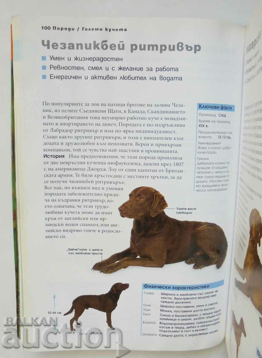 Δημοπρασία All About the Dog - Bruce Vogel 2004 Δημοπρασία All About the Dog - Bruce Vogel 2004