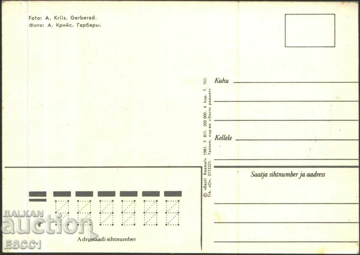 Postcard Flowers, Gerberas 1981 from the USSR with price 1.50 BGN | € 0.77