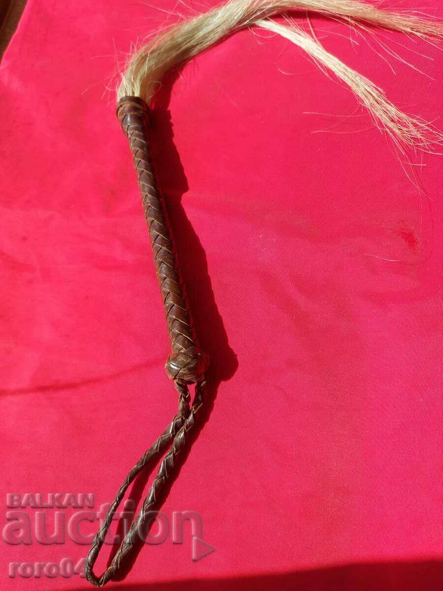 WHIP - WHIP - WHIP - 6 WHIP - WHIP - WHIP - 6