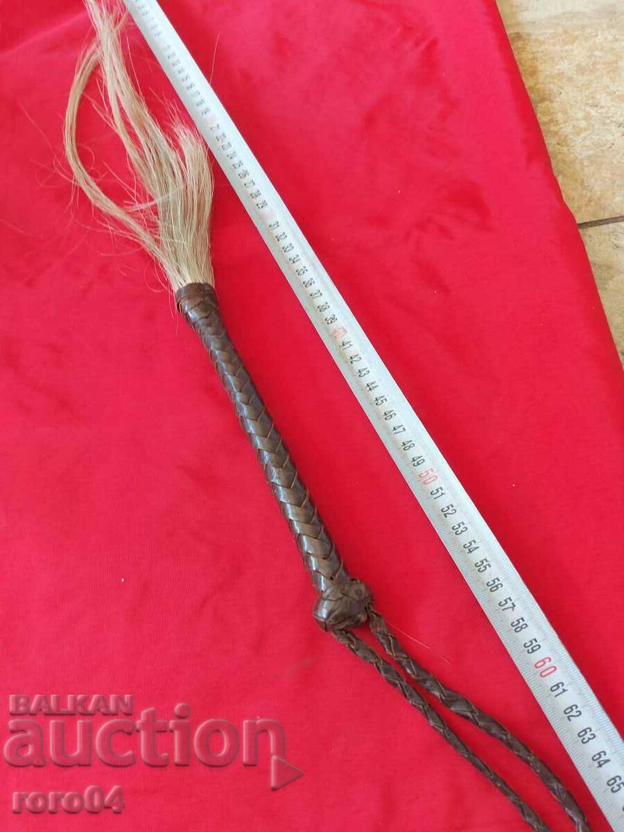 WHIP - WHIP - WHIP - 7 WHIP - WHIP - WHIP - 7