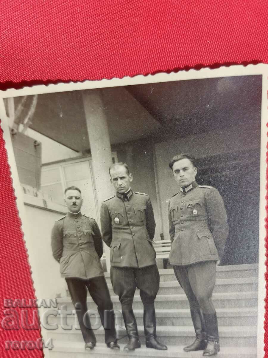 Delivery of HISARIA Delivery of HISARIA