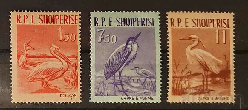 Albania 1961 Fauna / Animals / Birds 18 € MNH