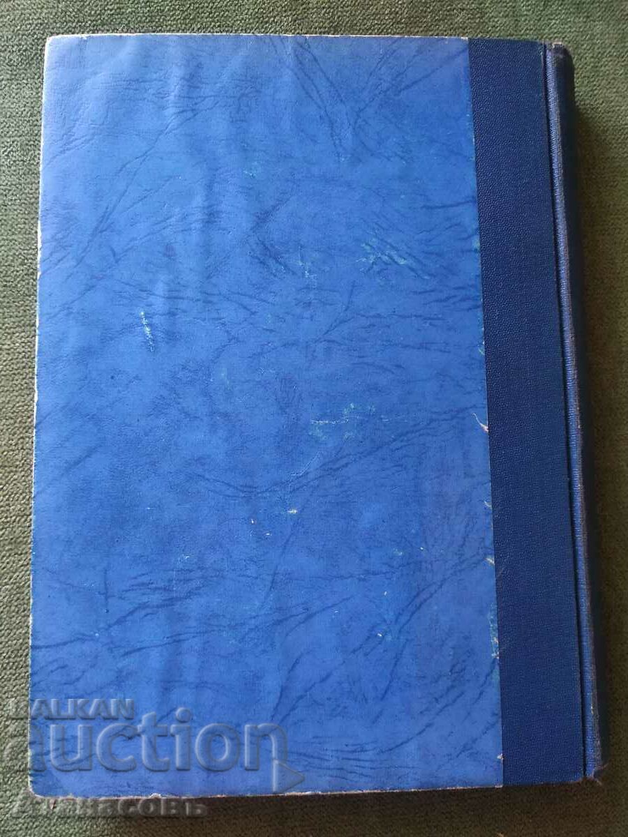 Auction The experience of Todor Vlaykov part 3 Auction The experience of Todor Vlaykov part 3