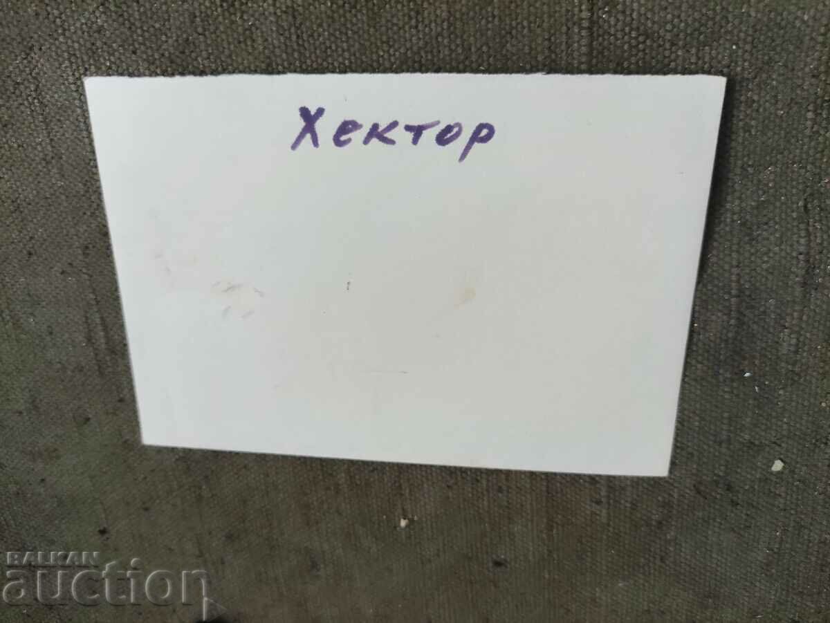 Photo of a shepherd dog with price 5.00 BGN | € 2.56 Photo of a shepherd dog with price 5.00 BGN | € 2.56