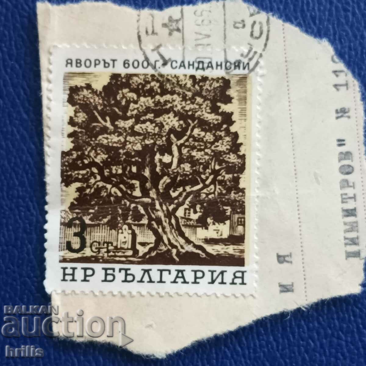 BULGARIA 1966 - CENTURIES OF TREES