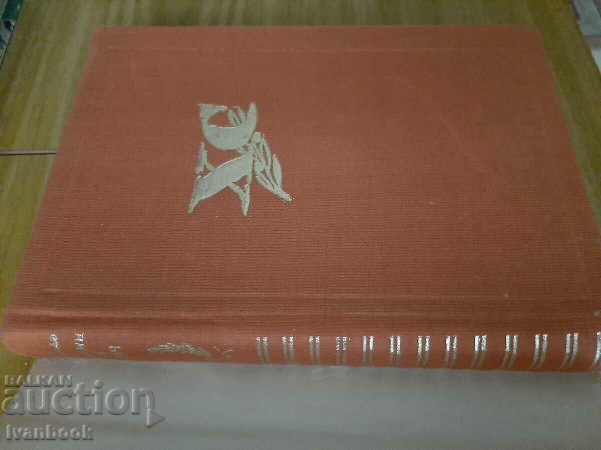 Δημοπρασία κ. Senkevich - St. ΜΑΧΡΟΒΣΚΙ Δημοπρασία κ. Senkevich - St. ΜΑΧΡΟΒΣΚΙ