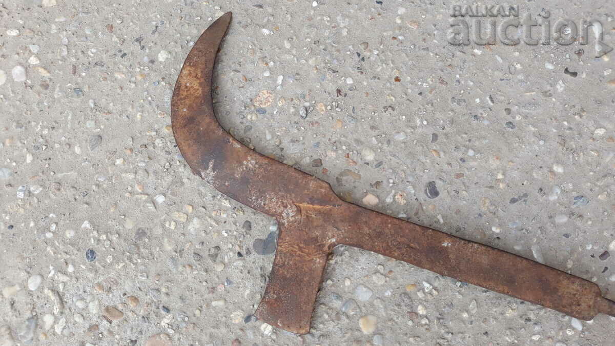 ANTIBODY PRIMARY COOKER HAND FORWARD - 6 ANTIBODY PRIMARY COOKER HAND FORWARD - 6