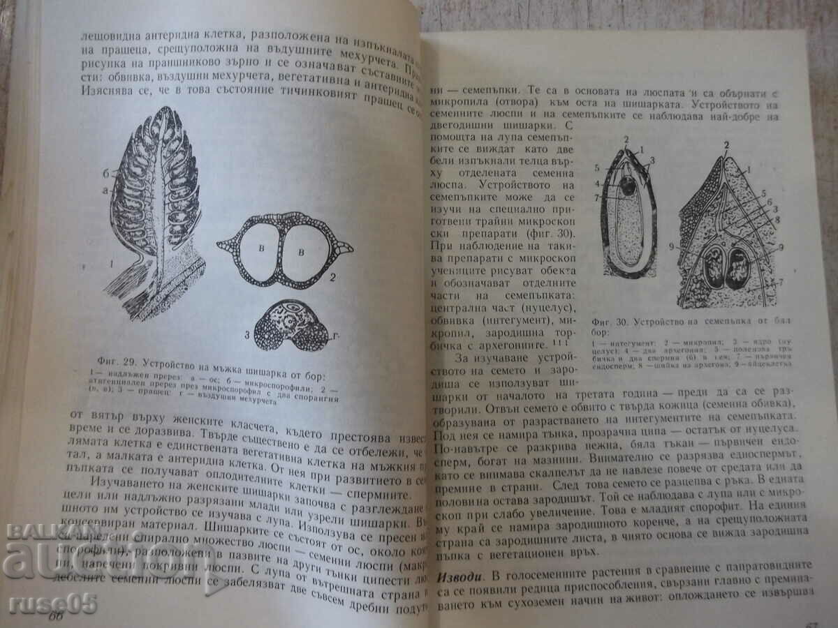 Auction Book "Laboratory classes in biology-M. Marcheva" -208 p. Auction Book "Laboratory classes in biology-M. Marcheva" -208 p.