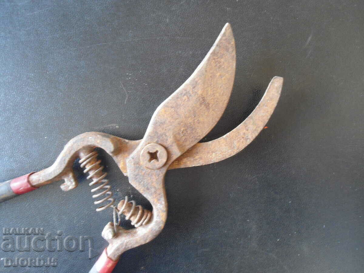 Auction  Old viticulture scissors