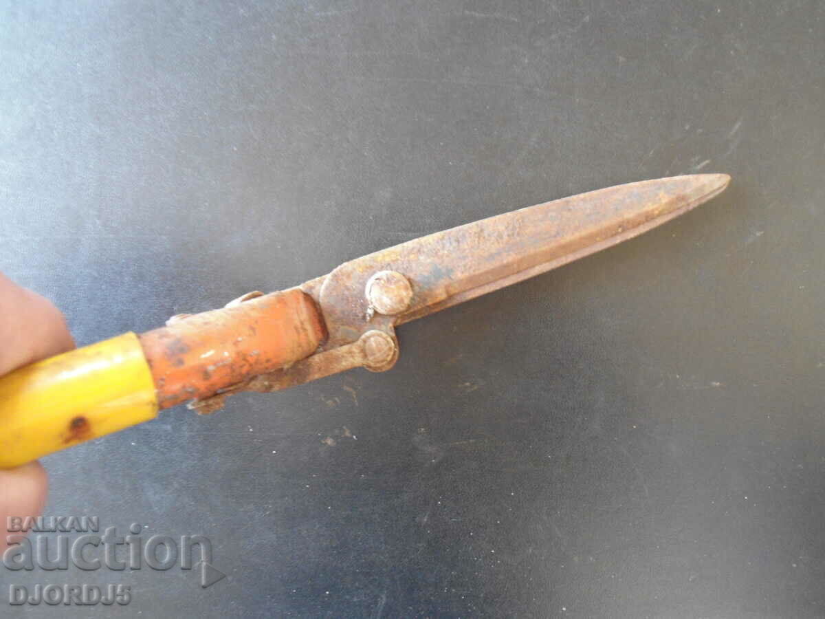 Old scissors for pruning shrubs with price 5.00 BGN | € 2.56 Old scissors for pruning shrubs with price 5.00 BGN | € 2.56