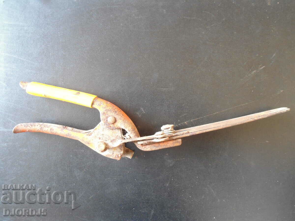 Auction Old scissors for pruning shrubs Auction Old scissors for pruning shrubs