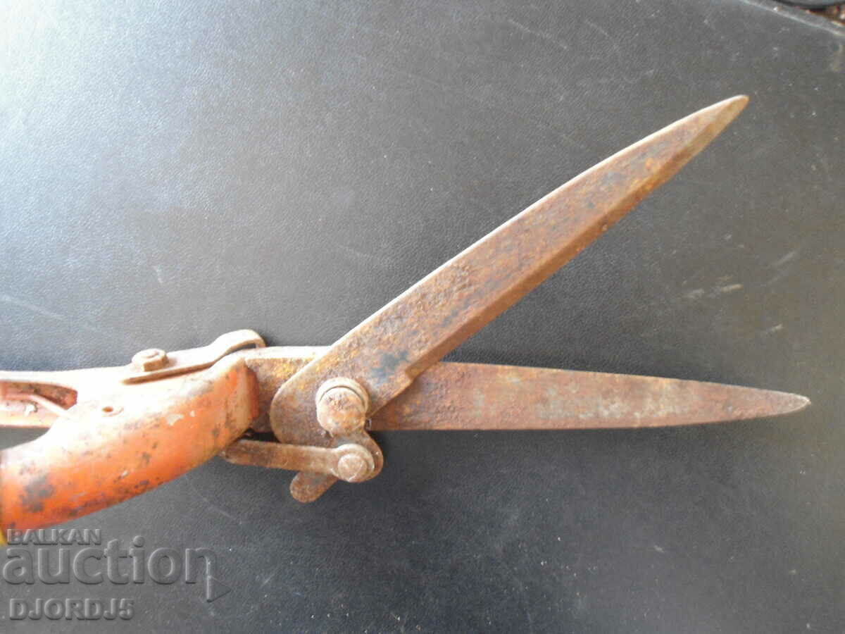 Old scissors for pruning shrubs - 5 Old scissors for pruning shrubs - 5