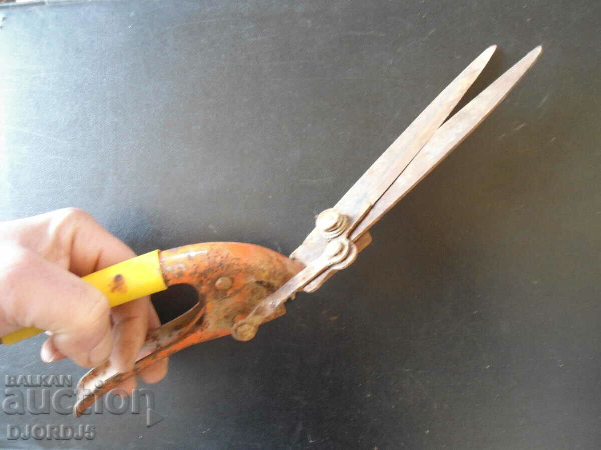 Old scissors for pruning shrubs - 7 Old scissors for pruning shrubs - 7