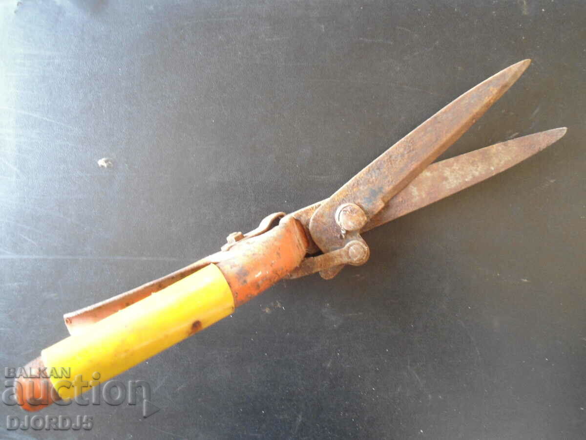 Old scissors for pruning shrubs