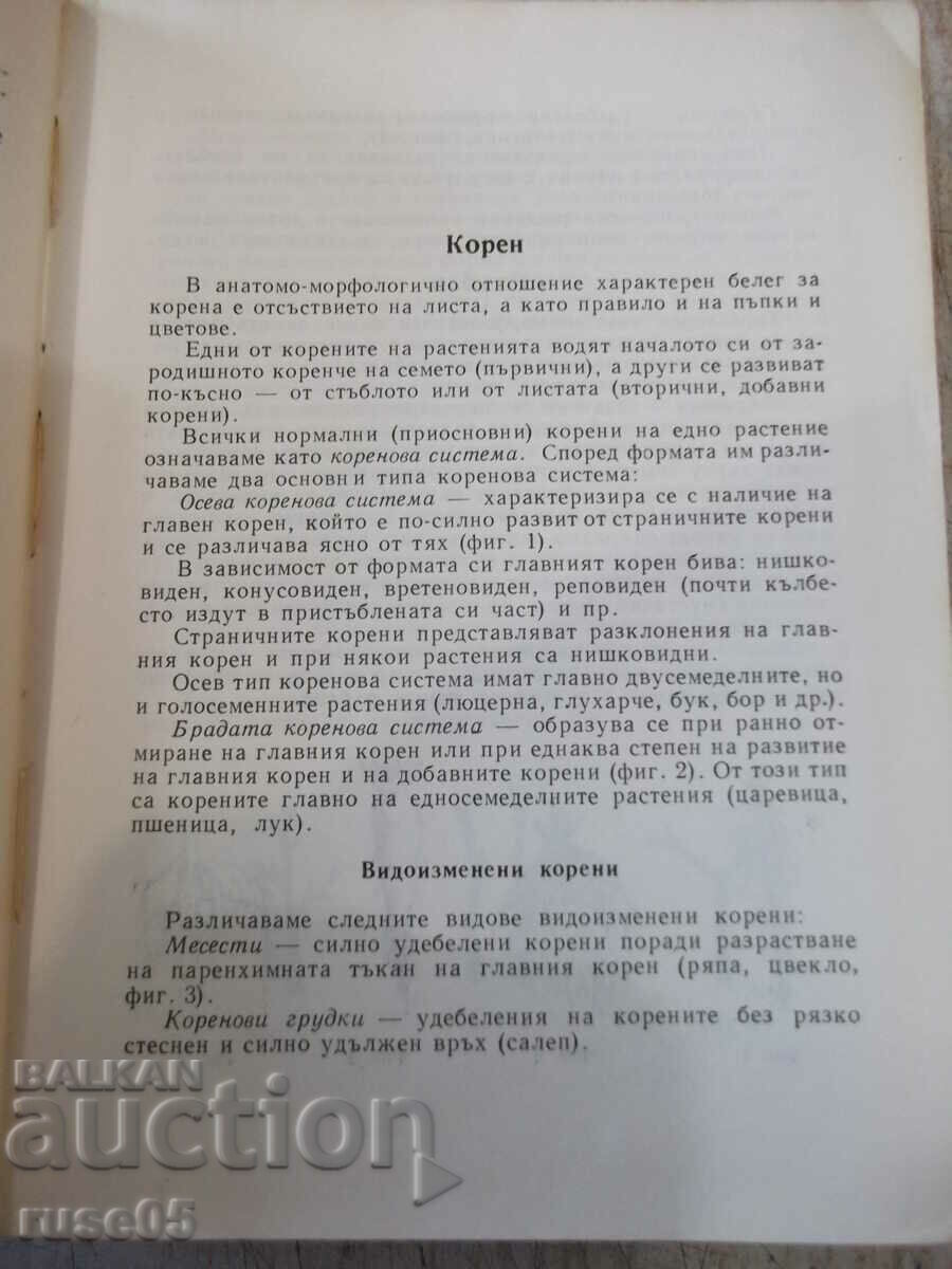 Delivery of Book "Excursion flora of Bulgaria - Stoyu Valev" - 736 pages. Delivery of Book "Excursion flora of Bulgaria - Stoyu Valev" - 736 pages.