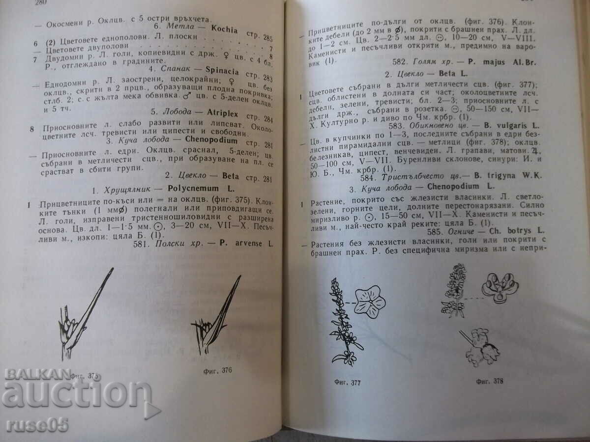 Book "Excursion flora of Bulgaria - Stoyu Valev" - 736 pages. - 5 Book "Excursion flora of Bulgaria - Stoyu Valev" - 736 pages. - 5