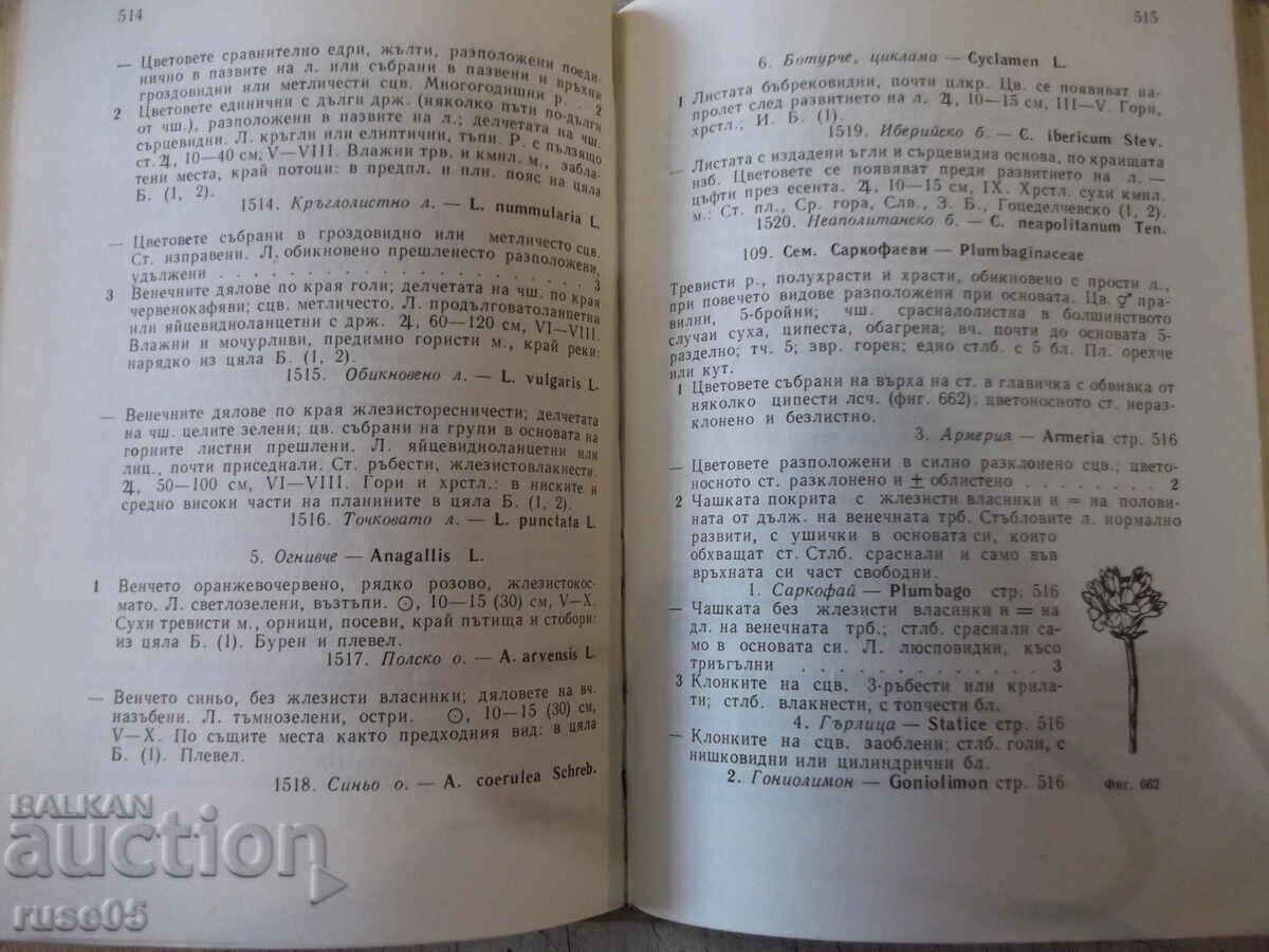 Book "Excursion flora of Bulgaria - Stoyu Valev" - 736 pages. - 6 Book "Excursion flora of Bulgaria - Stoyu Valev" - 736 pages. - 6