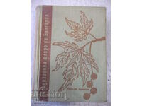 Book "Excursion flora of Bulgaria - Stoyu Valev" - 736 pages.
