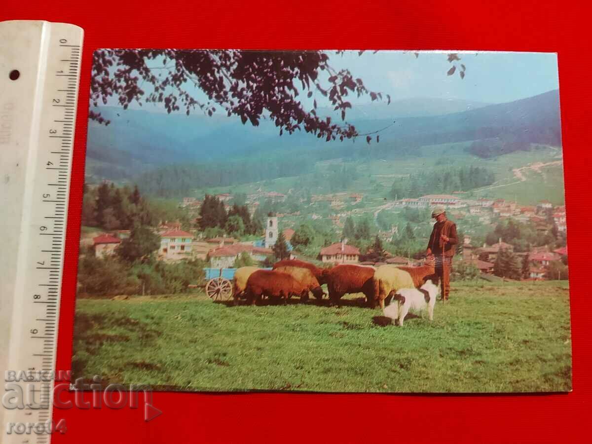 Auction KOPRIVSCHITSA Auction KOPRIVSCHITSA